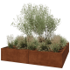 Cortenstaal plantenbak XXL - Vierkant - 200 x 200 x 40 cm - Zonder bodemplaat