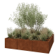 Cortenstaal plantenbak XXL - Vierkant - 180 x 180 x 40 cm - Zonder bodemplaat