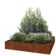 Cortenstaal plantenbak XXL - Vierkant - 180 x 180 x 30 cm - Zonder bodemplaat