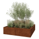 Cortenstaal plantenbak XXL - Vierkant - 160 x 160 x 40 cm - Zonder bodemplaat