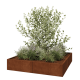 Cortenstaal plantenbak XXL - Vierkant - 160 x 160 x 30 cm - Zonder bodemplaat