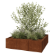 Cortenstaal plantenbak XXL - Vierkant - 150 x 150 x 40 cm - Zonder bodemplaat