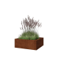 Cortenstaal plantenbak - Vierkant - 80 x 80 x 30 cm - Zonder bodemplaat