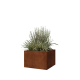 Cortenstaal plantenbak - Vierkant - 60 x 60 x 40 cm - Zonder bodemplaat