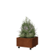 Cortenstaal plantenbak - Vierkant - 60 x 60 x 30 cm - Met bodemplaat - Met wielen