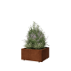 Cortenstaal plantenbak - Vierkant - 60 x 60 x 30 cm - Met bodemplaat - Met poten