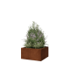 Cortenstaal plantenbak - Vierkant - 60 x 60 x 30 cm - Met bodemplaat
