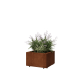 Cortenstaal plantenbak - Vierkant - 50 x 50 x 30 cm - Met bodemplaat - Met poten