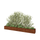 Cortenstaal plantenbak XXL - Rechthoek - 400 x 40 x 40 cm - Met bodemplaat