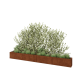Cortenstaal plantenbak XXL - Rechthoek - 400 x 30 x 40 cm - Met bodemplaat