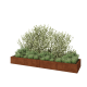 Cortenstaal plantenbak XXL - Rechthoek - 400 x 100 x 40 cm - Met bodemplaat