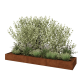 Cortenstaal plantenbak XXL - Rechthoek - 360 x 80 x 30 cm - Zonder bodemplaat