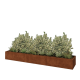 Cortenstaal plantenbak XXL - Rechthoek - 360 x 60 x 40 cm - Met bodemplaat