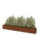 Cortenstaal plantenbak XXL - Rechthoek - 360 x 40 x 40 cm - Met bodemplaat