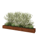 Cortenstaal plantenbak XXL - Rechthoek - 360 x 40 x 30 cm - Met bodemplaat
