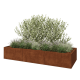 Cortenstaal plantenbak XXL - Rechthoek - 360 x 120 x 60 cm - Met bodemplaat