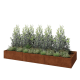 Cortenstaal plantenbak XXL - Rechthoek - 360 x 120 x 40 cm - Met bodemplaat