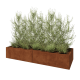 Cortenstaal plantenbak XXL - Rechthoek - 240 x 80 x 40 cm - Met bodemplaat
