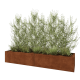 Cortenstaal plantenbak XXL - Rechthoek - 240 x 60 x 40 cm - Met bodemplaat