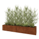 Cortenstaal plantenbak XXL - Rechthoek - 240 x 50 x 40 cm - Met bodemplaat