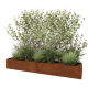 Cortenstaal plantenbak XXL - Rechthoek - 240 x 50 x 30 cm - Met bodemplaat