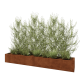Cortenstaal plantenbak XXL - Rechthoek - 240 x 40 x 30 cm - Met bodemplaat