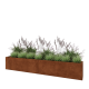 Cortenstaal plantenbak XXL - Rechthoek - 240 x 30 x 40 cm - Zonder bodemplaat