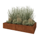 Cortenstaal plantenbak XXL - Rechthoek - 240 x 120 x 40 cm - Met bodemplaat