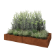 Cortenstaal plantenbak XXL - Rechthoek - 240 x 120 x 30 cm - Met bodemplaat