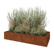 Cortenstaal plantenbak XXL - Rechthoek - 240 x 100 x 40 cm - Zonder bodemplaat