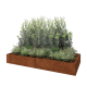 Cortenstaal plantenbak XXL - Rechthoek - 240 x 100 x 30 cm - Zonder bodemplaat