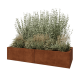 Cortenstaal plantenbak XXL - Rechthoek - 200 x 80 x 40 cm - Met bodemplaat