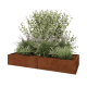 Cortenstaal plantenbak XXL - Rechthoek - 200 x 80 x 30 cm - Met bodemplaat