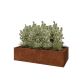 Cortenstaal plantenbak XXL - Rechthoek - 160 x 80 x 40 cm - Met bodemplaat