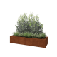 Cortenstaal plantenbak XXL - Rechthoek - 160 x 50 x 30 cm - Met bodemplaat