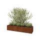 Cortenstaal plantenbak XXL - Rechthoek - 160 x 40 x 30 cm - Met bodemplaat