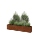 Cortenstaal plantenbak XXL - Rechthoek - 160 x 30 x 30 cm - Zonder bodemplaat