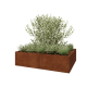Cortenstaal plantenbak XXL - Rechthoek - 160 x 120 x 40 cm - Met bodemplaat