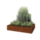 Cortenstaal plantenbak XXL - Rechthoek - 160 x 120 x 30 cm - Met bodemplaat