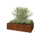 Cortenstaal plantenbak XXL - Rechthoek - 160 x 100 x 40 cm - Met bodemplaat