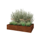 Cortenstaal plantenbak XXL - Rechthoek - 160 x 100 x 30 cm - Zonder bodemplaat
