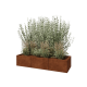 Cortenstaal plantenbak XXL - Rechthoek - 150 x 50 x 30 cm - Met bodemplaat