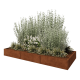 Cortenstaal plantenbak XXL - Rechthoek - 300 x 120 x 30 cm - Met bodemplaat