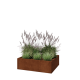 Cortenstaal plantenbak - Rechthoek - 100 x 80 x 30 cm - Met bodemplaat