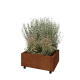 Cortenstaal plantenbak - Rechthoek - 80 x 60 x 30 cm - Met bodemplaat - Met wielen