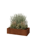 Cortenstaal plantenbak - Rechthoek - 120 x 60 x 30 cm - Met bodemplaat