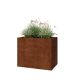 Cortenstaal plantenbak - Rechthoek - 100 x 60 x 80 cm - Met bodemplaat