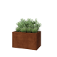 Cortenstaal plantenbak - Rechthoek - 100 x 60 x 60 cm - Met bodemplaat
