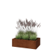 Cortenstaal plantenbak - Rechthoek - 100 x 60 x 30 cm - Met bodemplaat