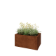 Cortenstaal plantenbak - Rechthoek - 80 x 50 x 40 cm - Zonder bodemplaat